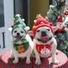 Christmas dog hats, wipes, bibs, dogs, cats, pet teddy bears, West Highland Schnauzers, autumn and winter cat clothes, accessories, Christmas custom scarves, pet accessories details Picture